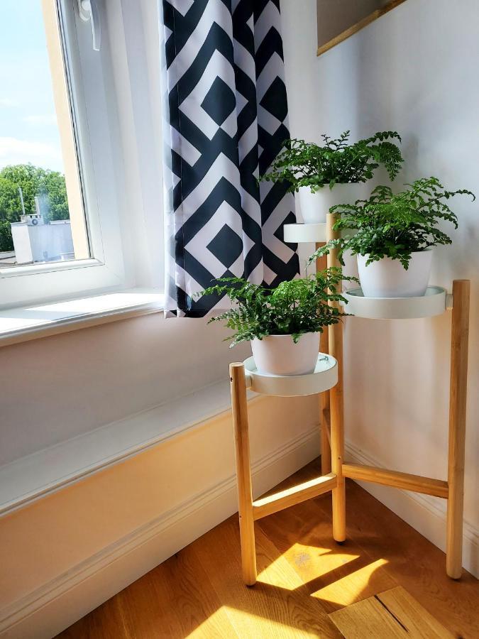 Appartamento Centrum Grand Apartament Świdnica Esterno foto